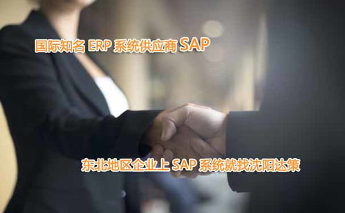 大庆ERP软件公司 大庆SAP ERP系统开发商 就选达策信息